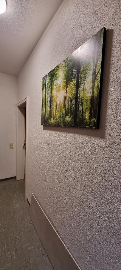 Waterfalls Apartment 2 Triberg im Schwarzwald Esterno foto